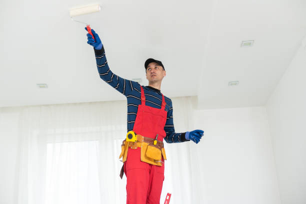 Reliable Argyle, TX Painting & Drywall Installation Solutions